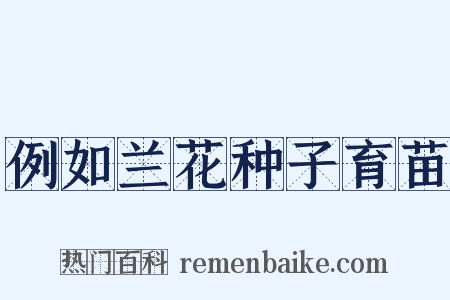 例如兰花种子育苗是什么意思的图片